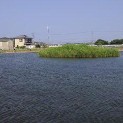 アマゾンの怪魚と糸電話 ～浜名湖フィッシングリゾート～